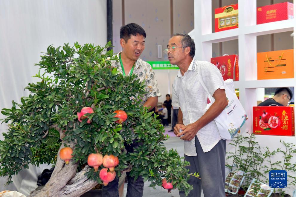 ag下载首页